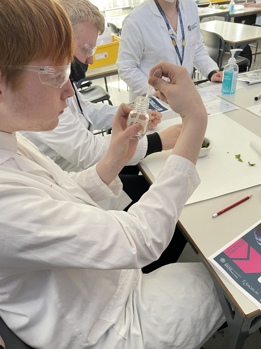 MissHBio's tweet photo. A great afternoon on Friday for our N5 Lab Science class taking part in the Skills Lab @EBSOClab ! Looking forward to continuing our investigations over the next few weeks😀 https://t.co/Sd2AlaZa3v