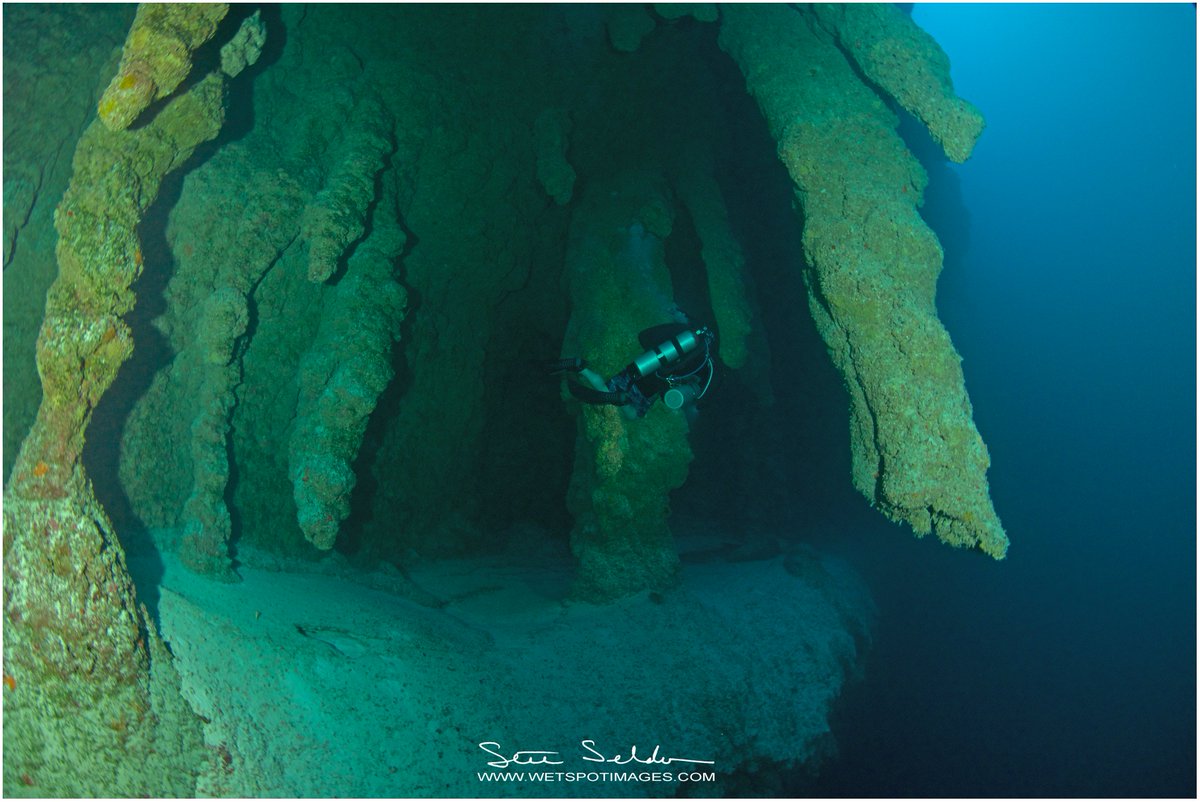 WetspotImages's tweet image. Back from a few days at @huracandiving in Belize. If you&apos;re a fan of the #GreatBlueHole, this is the only dive lodge in Belize where you can truly experience the dive the way it should be! @belizevacation #Belize @yobettabelizeit #techdive