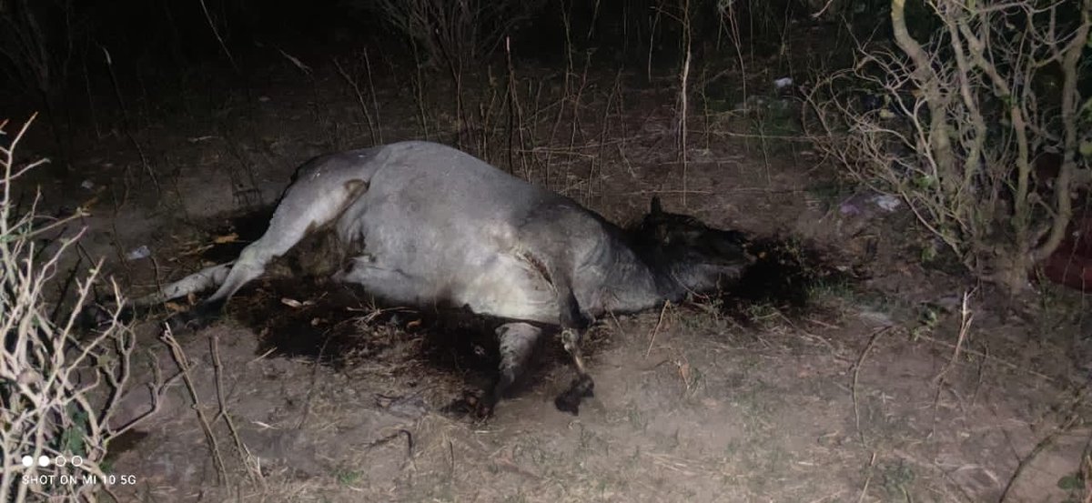 Dainik Indian Block tweet media