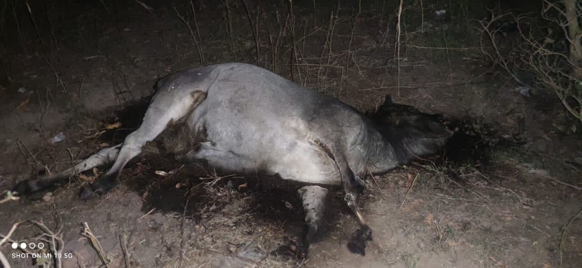 Dainik Indian Block tweet media