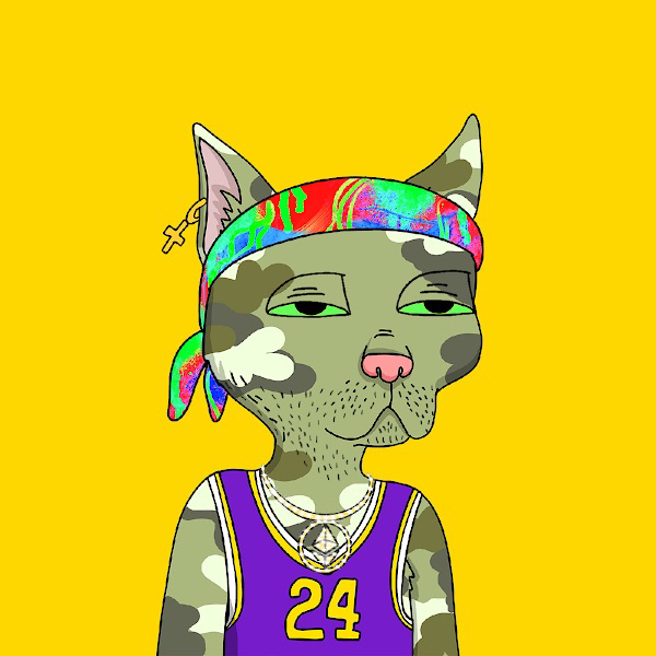 0xGutterCatGang MISFITS poppin up! 😮🔥😻

fire cats gang!

youre gonna be mind blown next week Misfits hodlers

only 500 avail + only .008 ETH

get yours before theyre all scooooped

misfits.0xgcg.com
