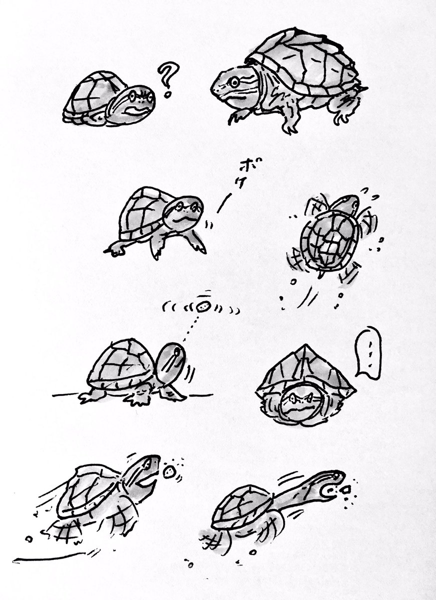 記録 