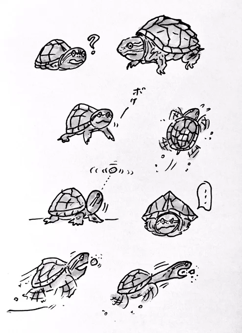 記録 