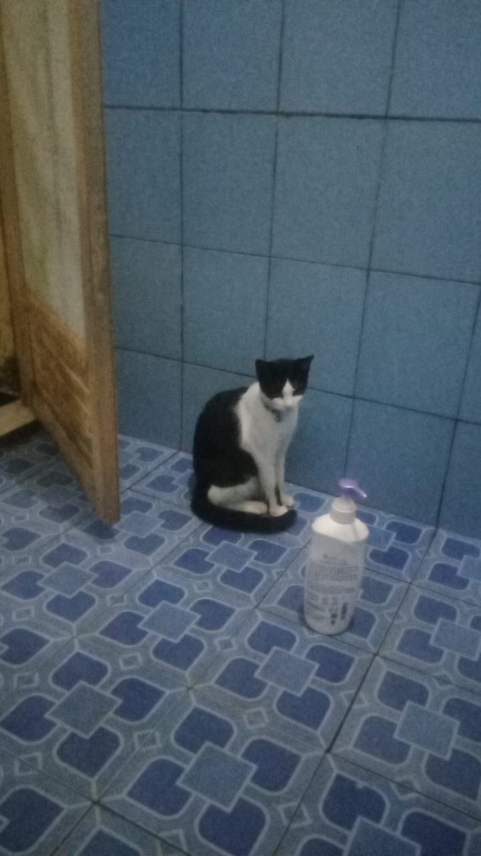 philoachi's tweet photo. mandi enggak yaa https://t.co/wbnb22mWBE