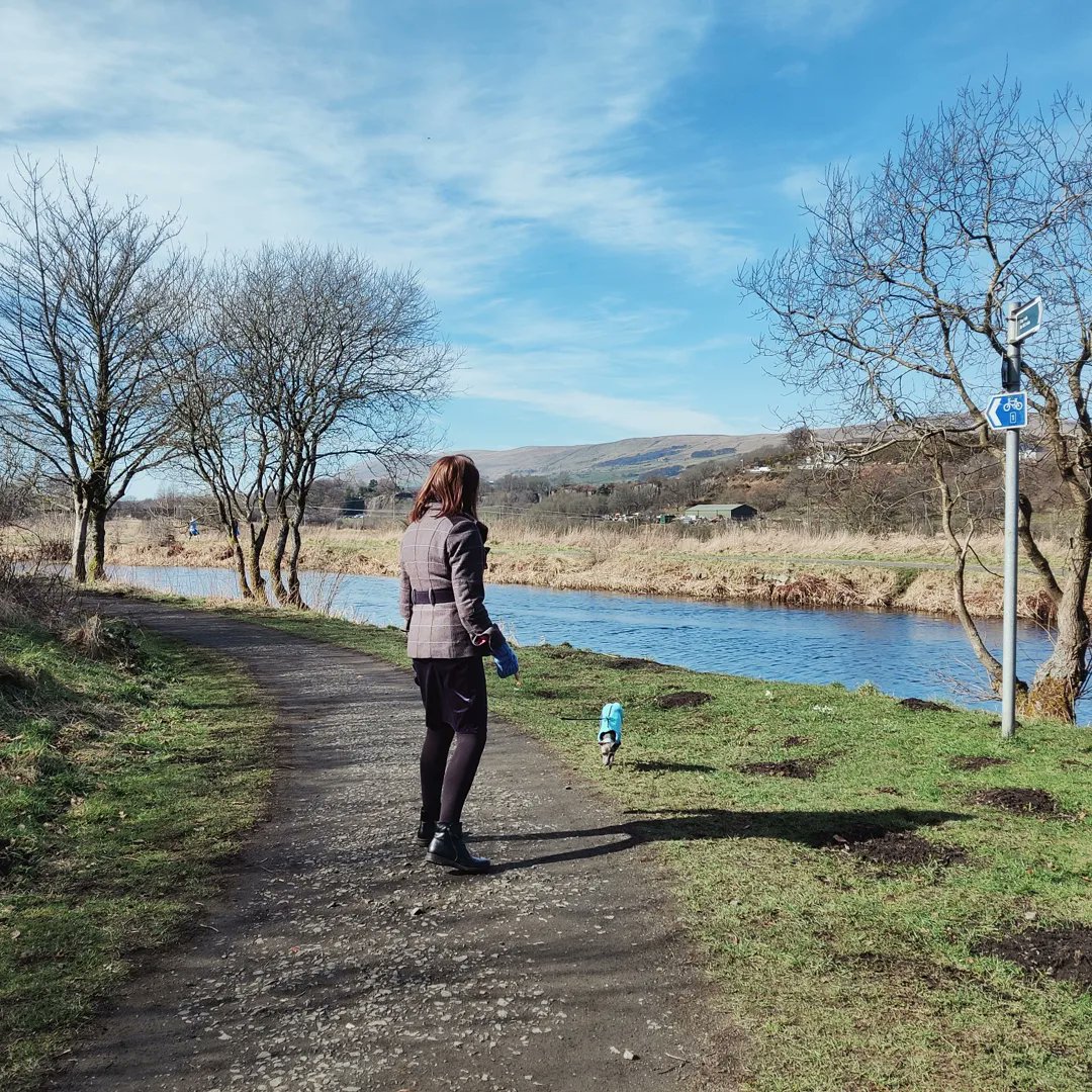 Paula McGuire tweet media