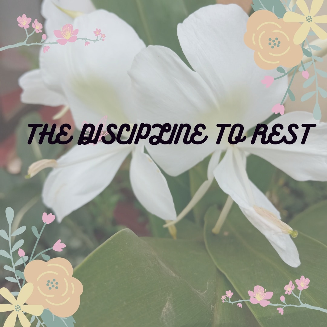 fitcliqueafrica's tweet photo. It was in conversation with dancer Lillian Nabaggala that we first heard this articulated. 
The #disciplinetorest. 

It stuck with us because it is sometimes hard to frame something as soft, as #pleasurable as rest in the context of discipline. https://t.co/JWX6zCOOTe