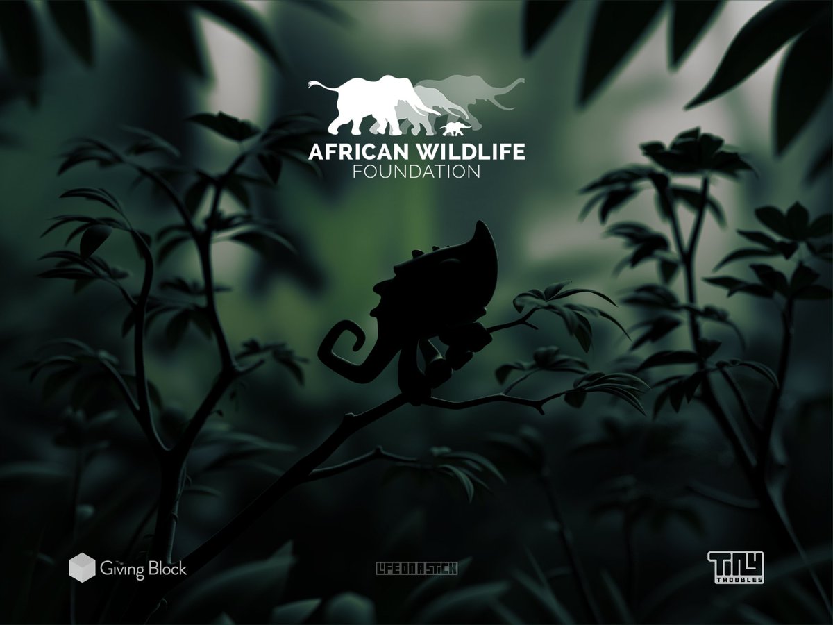 tinytroublesnft's tweet photo. Tiny Troubles is donating to the African Wildlife Foundation @AWF_Official ๐ to fight for a sustainable future.
Their mission โ to ensure wildlife and wild lands thrive in modern Africa.
#AWFCommunities
#TinyTroubles https://t.co/Eg5fcYuK0u