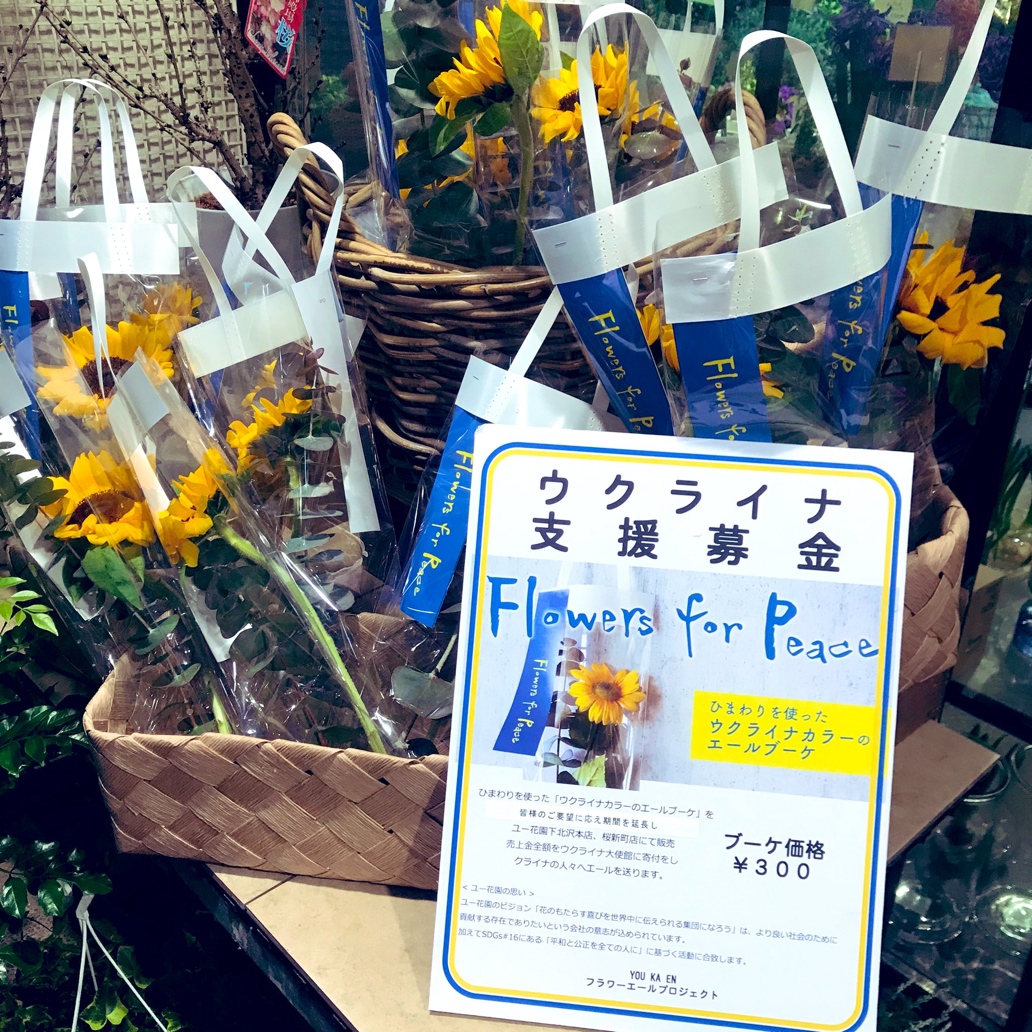 シノリエ 下北沢のユー花園さんのウクライナ支援募金企画 凄くいいなと思って先週行ったら予定数終わっちゃってたけど今週もやっていたのでひまわりいただいてきた 300円設定だけど多く募金するのもokだったのでほんの少し気持ち多めに ウクライナ
