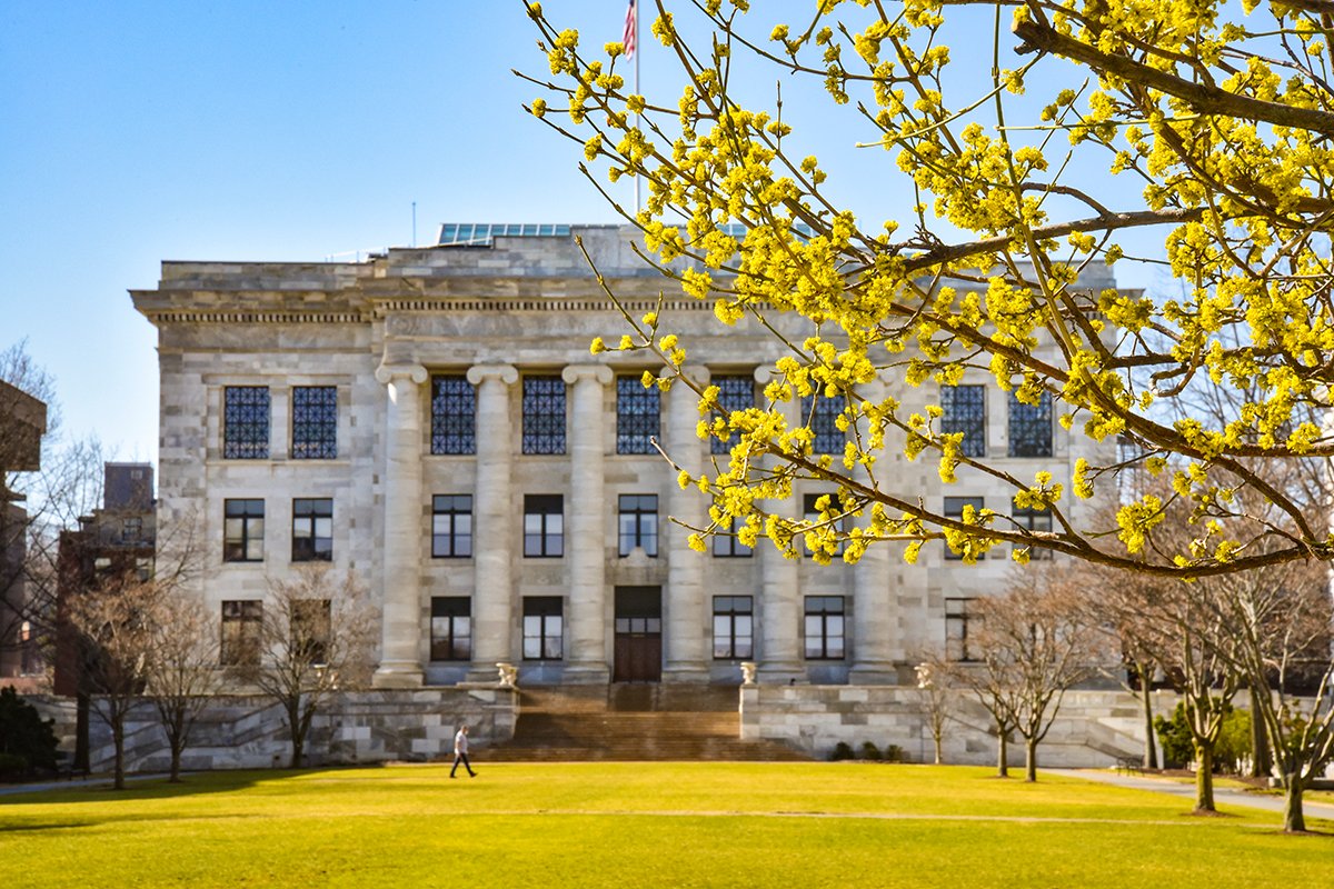 A tree branch with flower buds on it in front of a large, while granite building with columns