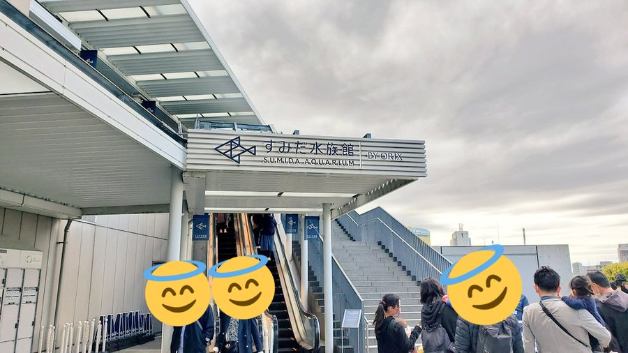 すみだ水族館の入場制限や混雑状況 所要時間や再入場についても調査 ナチュラル スマイル
