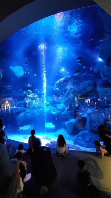 すみだ水族館の入場制限や混雑状況 所要時間や再入場についても調査 ナチュラル スマイル