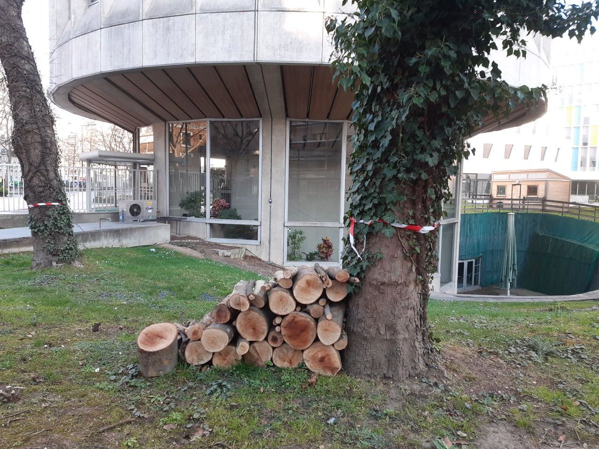 TanguiLeDantec's tweet photo. Je vous invite à contempler et à méditer sur la situation réelle du site de la tour ONF à la mi-mars 2022, après les dithyrambiques promesses de notre adjoint EELV à l'urbanisme. Pour rappel, il n'y a pas eu de concertation, contrairement à ce qui est prétendu dans ce tweet. https://t.co/mFAnzfWNtM
