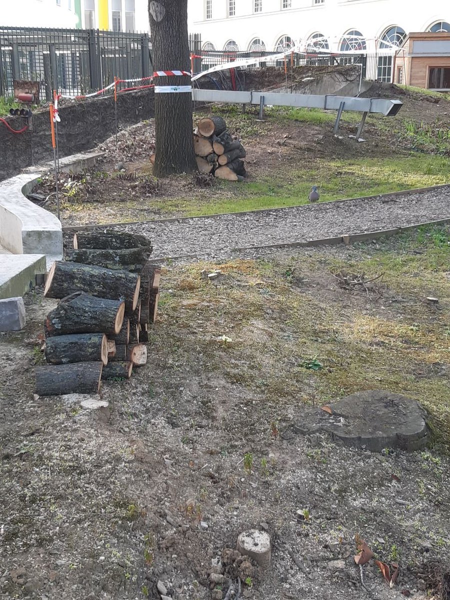 TanguiLeDantec's tweet photo. Je vous invite à contempler et à méditer sur la situation réelle du site de la tour ONF à la mi-mars 2022, après les dithyrambiques promesses de notre adjoint EELV à l'urbanisme. Pour rappel, il n'y a pas eu de concertation, contrairement à ce qui est prétendu dans ce tweet. https://t.co/mFAnzfWNtM
