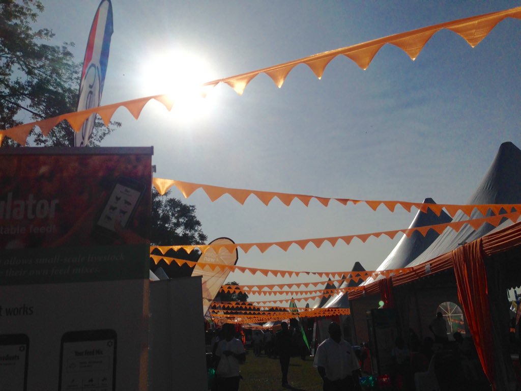 Final day at the #Vision #HarvestMoneyExpo 2022. Thank you to the Dutch embassy #EKNUganda for a vibrant #NetherlandsVillage 🎊 and to all organisers and participants! 🎉 #LetsDoThisAgain #FarmingAsABusiness