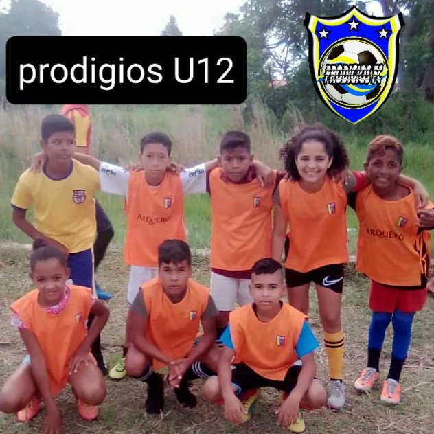 ProdigiosDelSur's tweet photo. Hoy inicio la copa #Daycar y #Prodigios como siempre activo con sus categorías U-12/15/17 les deseamos lo mejor en este torneo..
#yosoyprodigios 
#Somosprodigios 
@palco_deportivo 
@AfemOficial 
@morrocucho https://t.co/Hqq40hLXJt