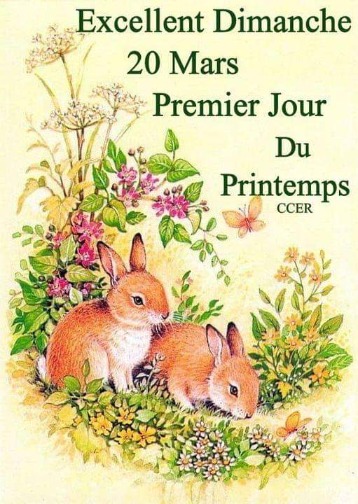 Elvis (@elvisrmsmdmx) on Twitter photo 