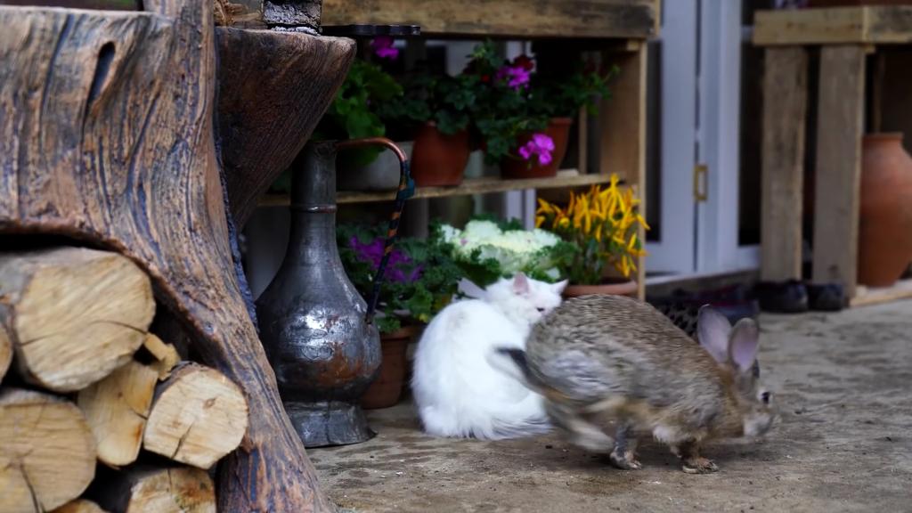 Moumin Lovable (@lovablemoumin) on Twitter photo 