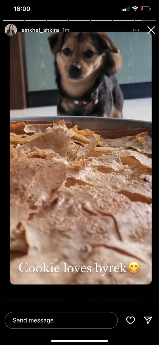 pernjekafeturke's tweet photo. Cookieeee bukurrrrrrrr β€οΈπ«π«@EinxhelShkira #cookieee https://t.co/ZaioG3b7cs