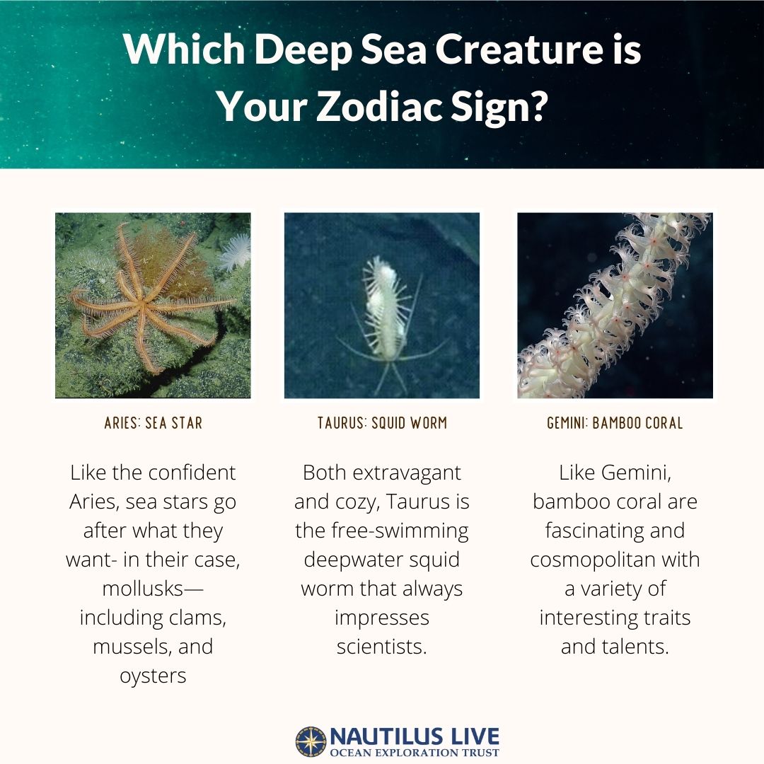 EVNautilus's tweet image. Celebrate #InternationalAstrologyDay with this fun graphic and get reacquainted with some of the #deepseacreatures we’re hoping to see on our dives this year in the #CentralPacific!