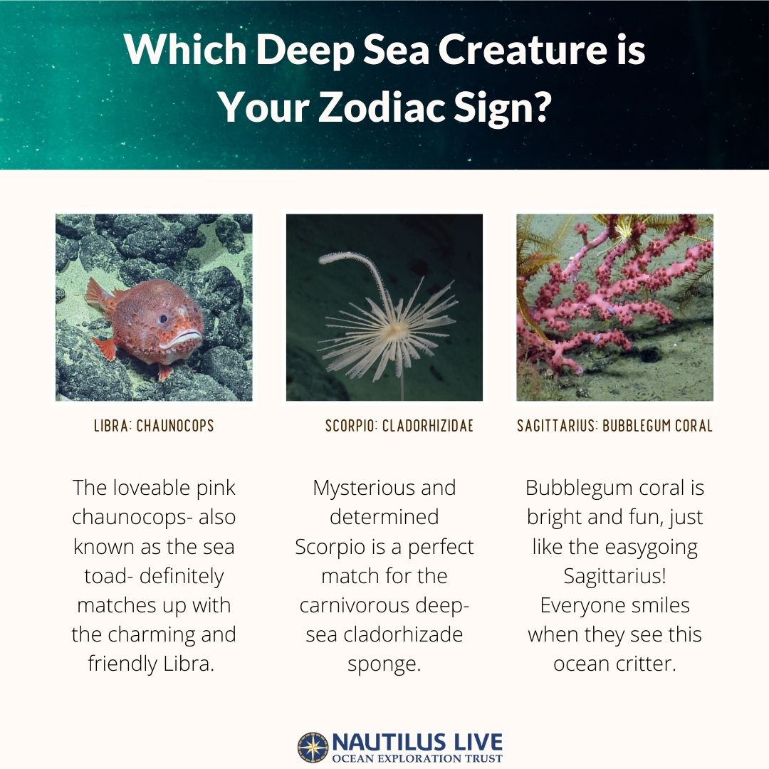 EVNautilus's tweet image. Celebrate #InternationalAstrologyDay with this fun graphic and get reacquainted with some of the #deepseacreatures we’re hoping to see on our dives this year in the #CentralPacific!