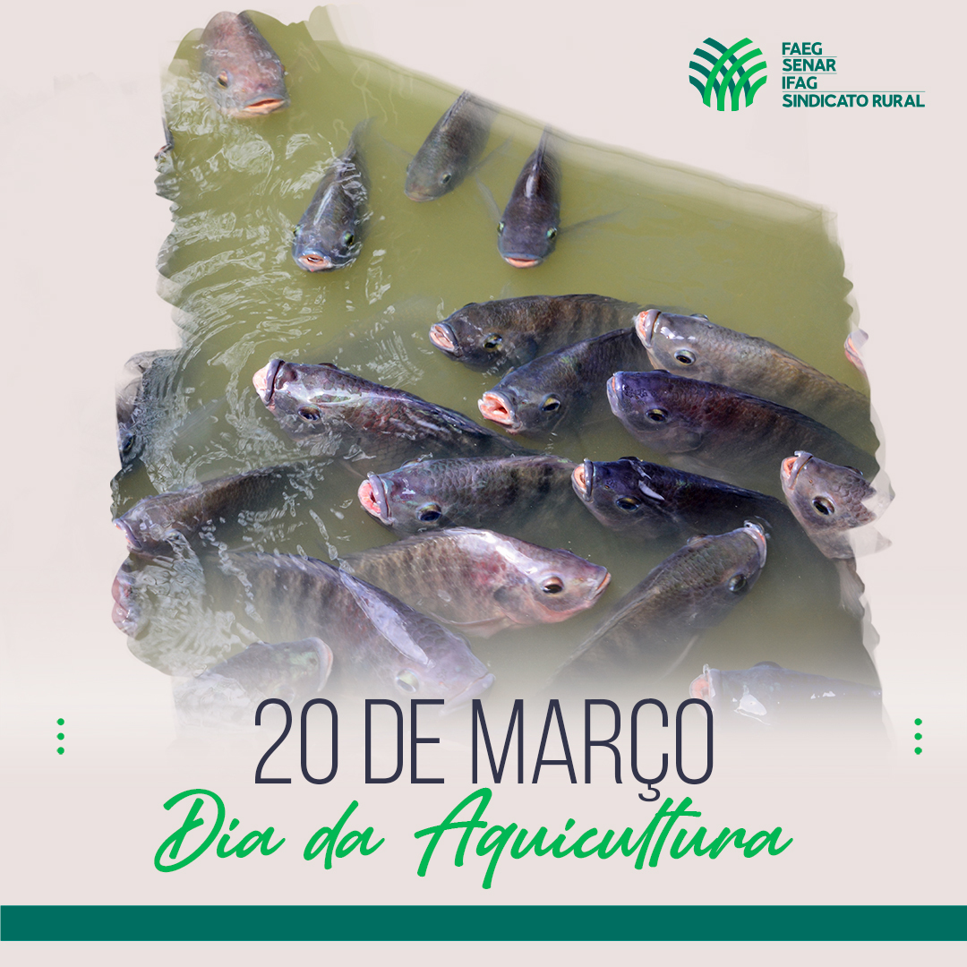 SistemaFaeg's tweet photo. Parabéns 👏 a todos que aplicam esta ciência na criação não só de peixes, mas também de crustáceos, moluscos e de outros organismos que vivem em ambientes aquáticos.
⠀
#Aquicultura #SistemaFaeg #SenarGoias #SenarMais #IFAG #SindicatoRural https://t.co/P26UwKAUSH