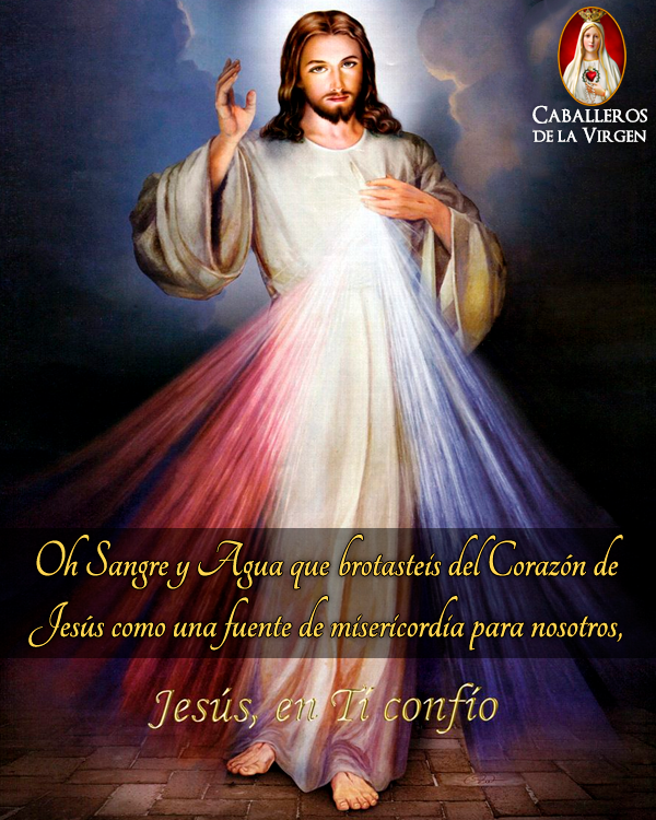 Caballeros de la Virgen tweet media