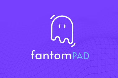mbapad's tweet photo. Tonight's MBAPAD Pre-Sale Launch of fantomPAD was a success! 

Tokens have been distributed!
Make sure to add the correct token contract address into your Metamask to see them.

0xb04770CFc19Bc6089934F15e80867BF1Fdb790c5 https://t.co/1OeiqqCdJc