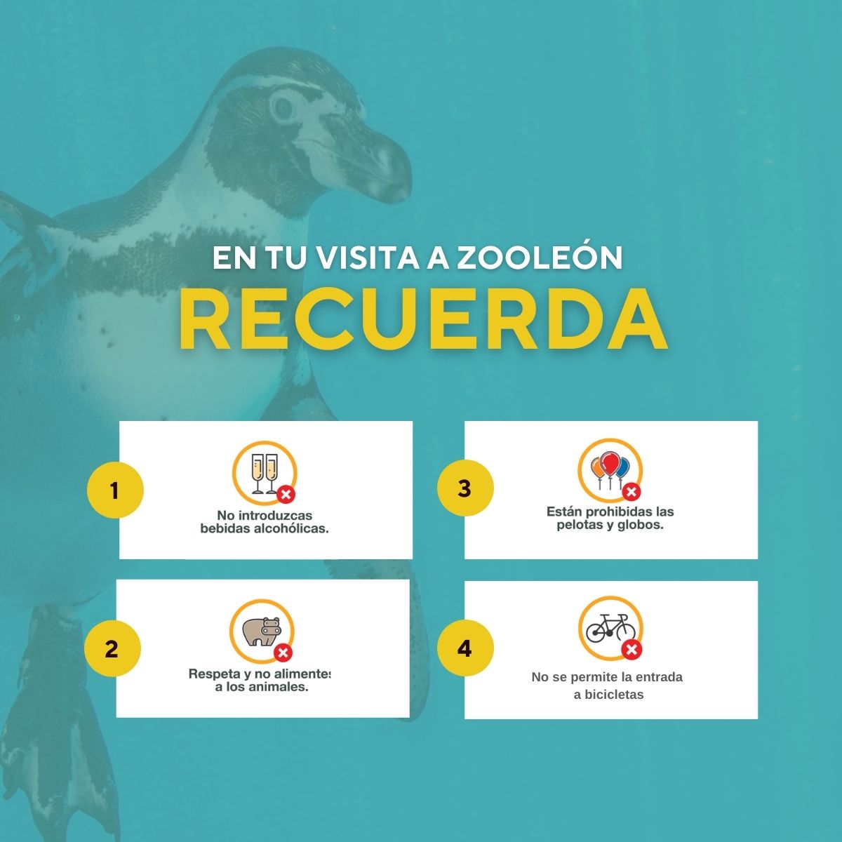 zooleon's tweet photo. En tu visita al Zooleón recuerda seguir nuestro reglamento, es para tu bienestar https://t.co/aRiE9QpRoJ