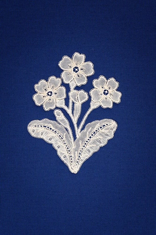This spray was made in East Devon lace by Elsie Luxton. The design is that of a primrose. As with many Victorian designs, inspiration for lace was often taken from nature. The spray would have been appliquéd on to net to make a veil or flounce #Honitonlace #SpringEquinox