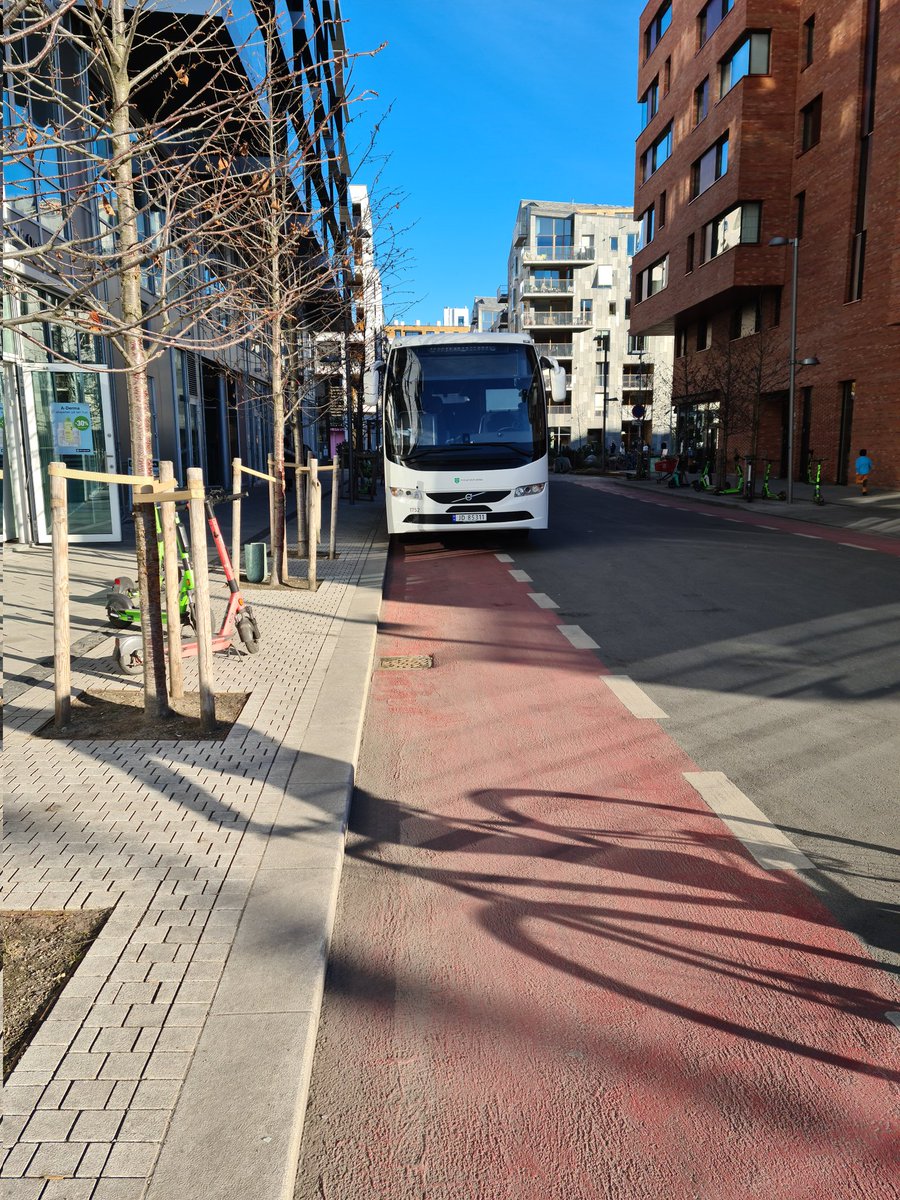 FanteSmauet tweet media