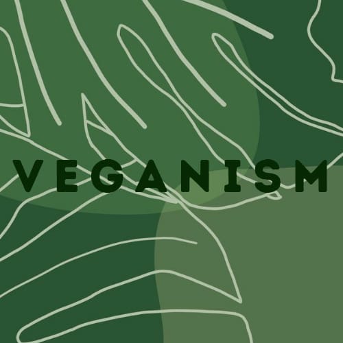 veganissmm's tweet photo. The grass is greener on the other side, WE are the other side. 
Team THOV welcomes each one of you to join our community of plant based diet💚
#vegan #vegancommunity #vegansofig #plantbased https://t.co/MMpfRieL6k