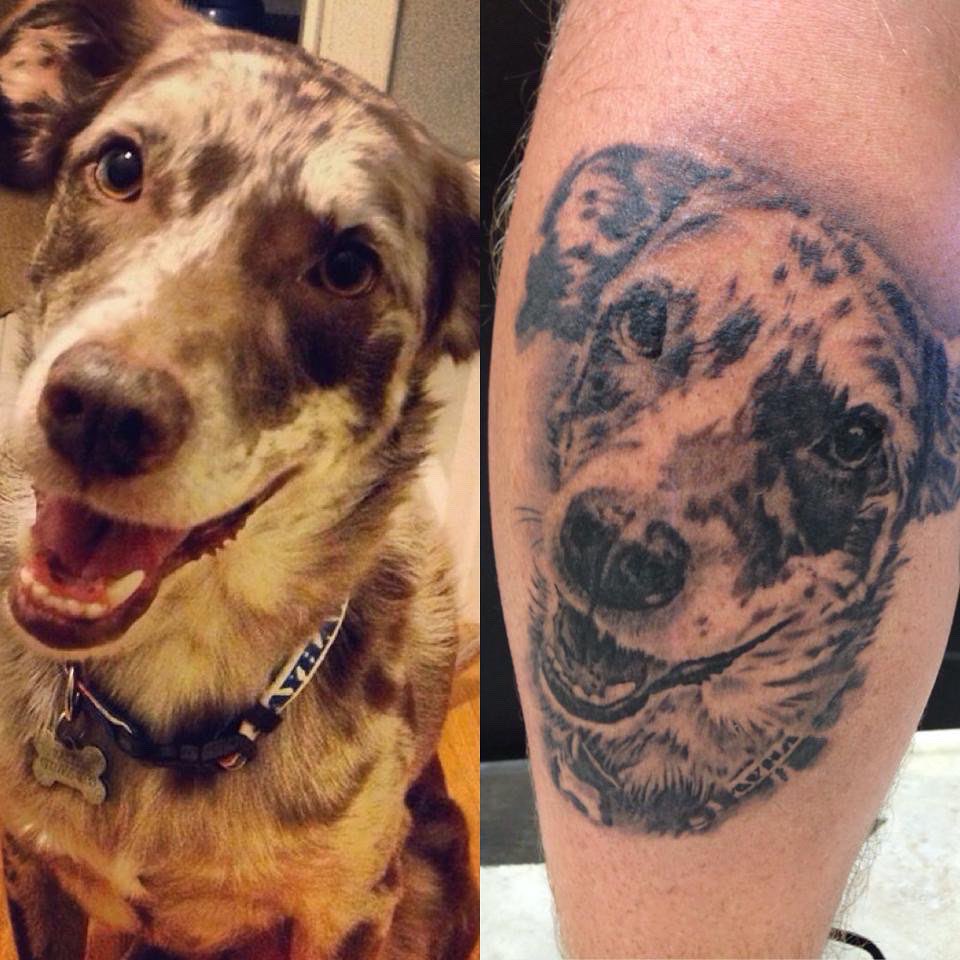 EricMcCabe11674's tweet photo. It’s with a heavy heart I make this post. Ralph had a seizure this morning and unfortunately is no longer with us. He was such an amazing companion and my best friend. Ralph lived one hell of a life reaching 18 years old, and I’m  relieved to know he’s no longer in pain. 💙 https://t.co/bTipYd91bC
