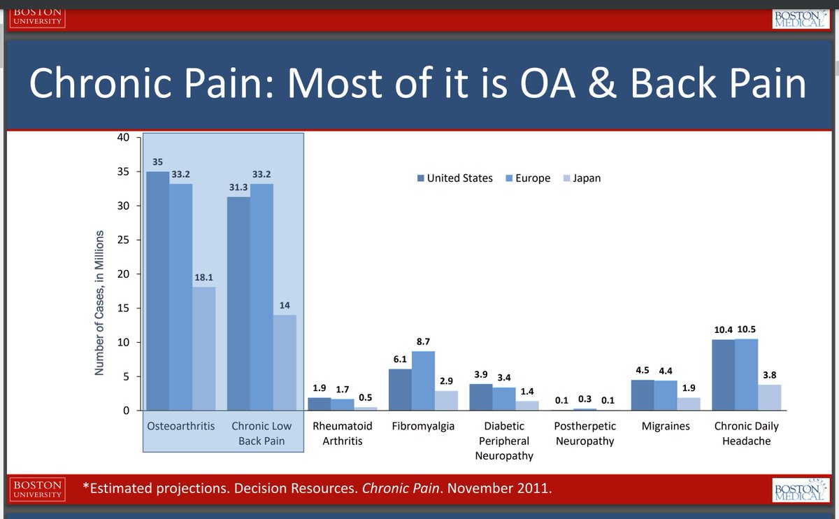 Most chronic pain is as you would think, back pain and OA. Dr. @Tuhina_Neogi #RNL2022 @RheumNow