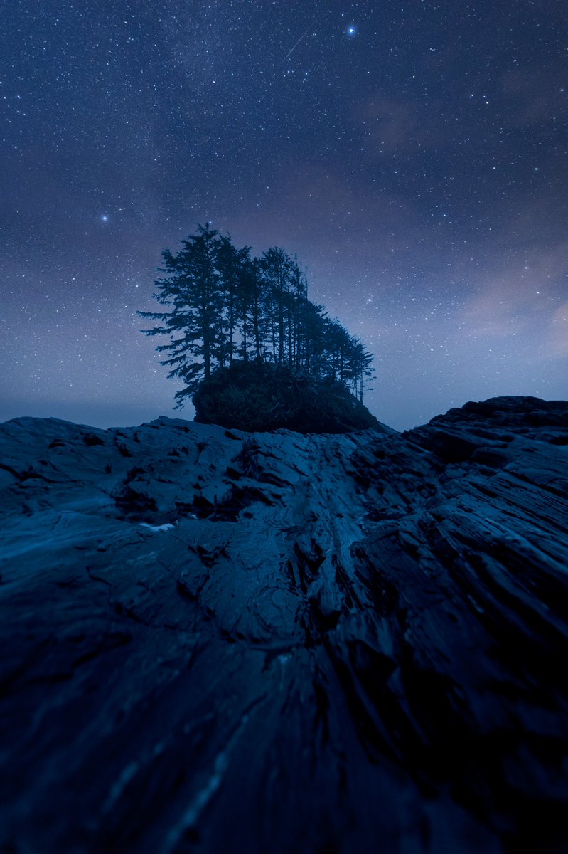Embrace the darkness within, you never know how much beauty is hidden in there!