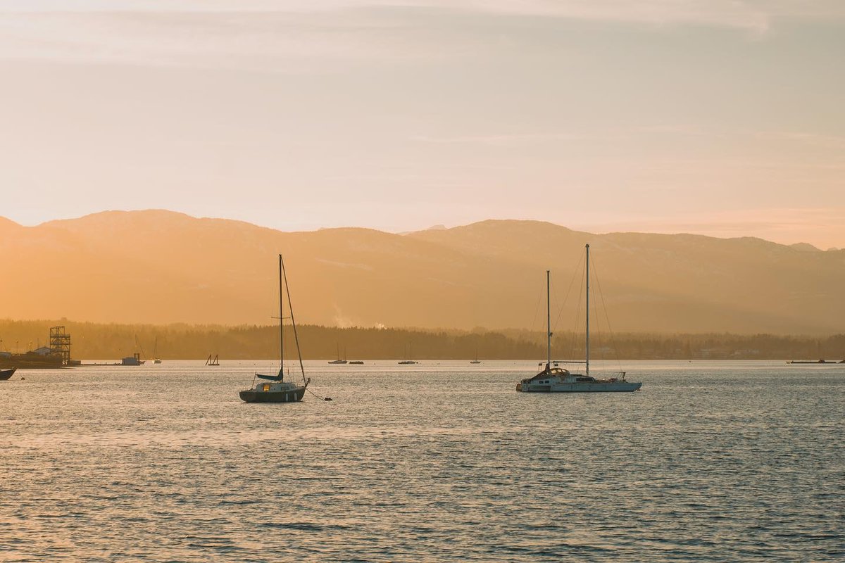 experience_CV's tweet photo. Happy Spring Equinox! 

📷 colefreemanphoto, Instagram
#ExploreComoxValley #ExploreVancouverIsland https://t.co/vcWGzzm5fm