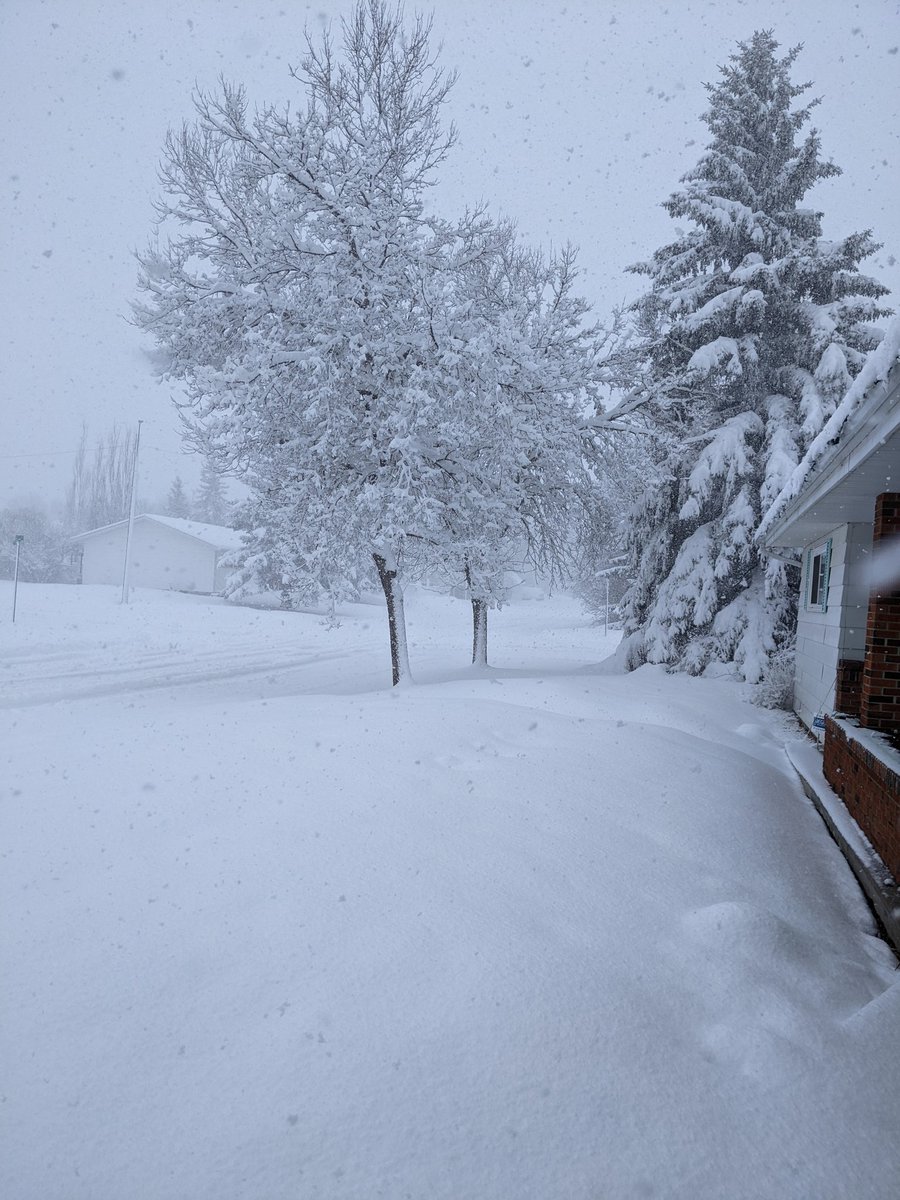 cookit79's tweet photo. @KyleTWN Here's the view in Tofield https://t.co/CyM0idyAfD