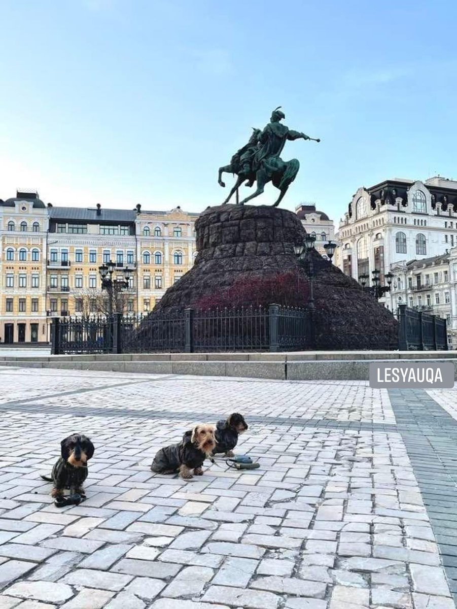 ThreeHappyDachshunds tweet media