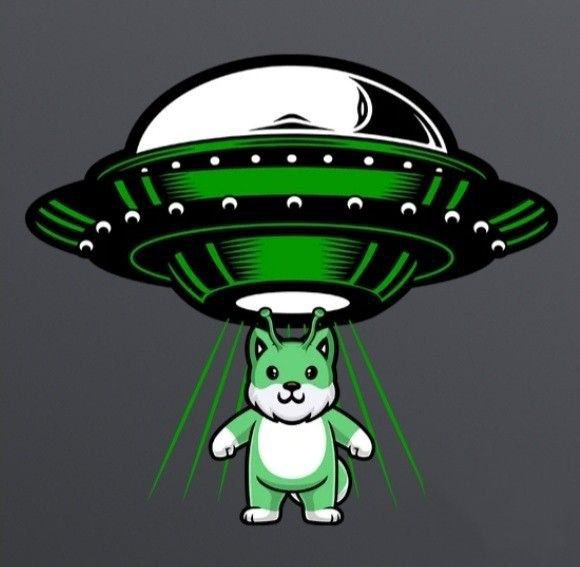 alidastgerdi71's tweet photo. @InuAlien @TheAlienInuArmy Some more videos coming up soon and Live AMA promoting Alien Inu and our upcoming NFT collection / UFO shooter play to earn game! Stay tuned Aliens! $ALIEN #ALIENINU #ALIENINUARMY 

#PLAYTOEARN #P2E #NFT
@TheAlienInuArmy 
@InuAlien 
#alieninu https://t.co/uHq2TPjykh