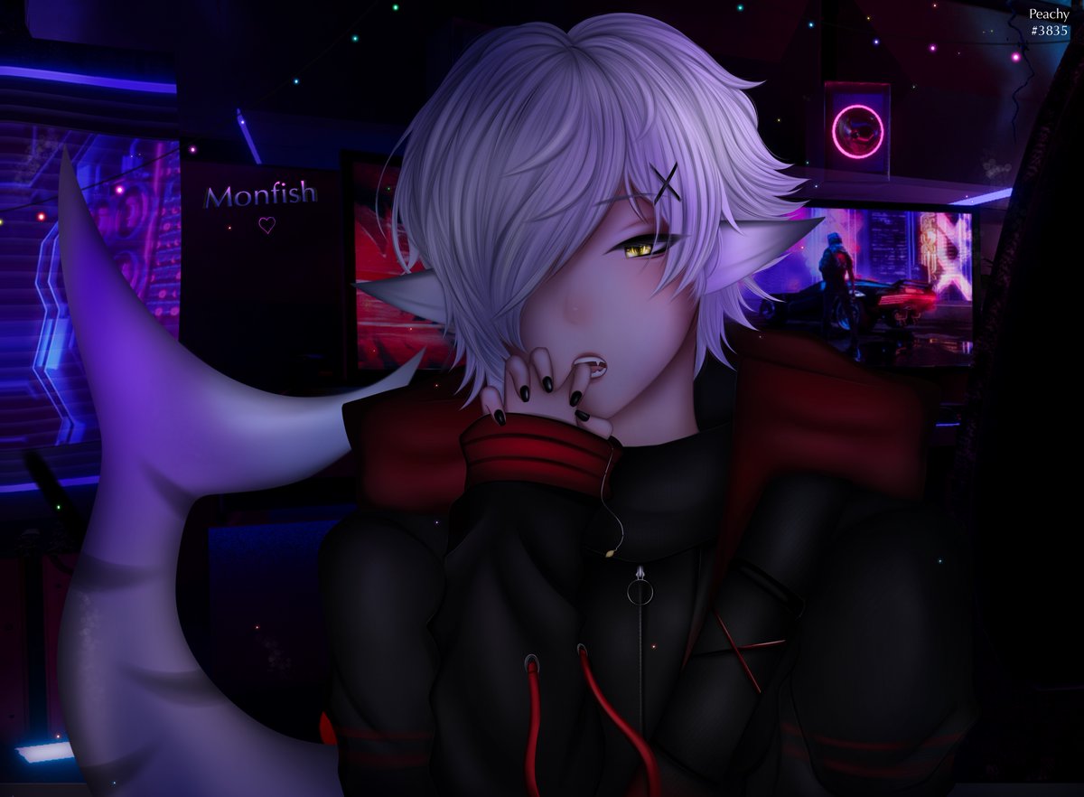 Monfish🦈 tweet media