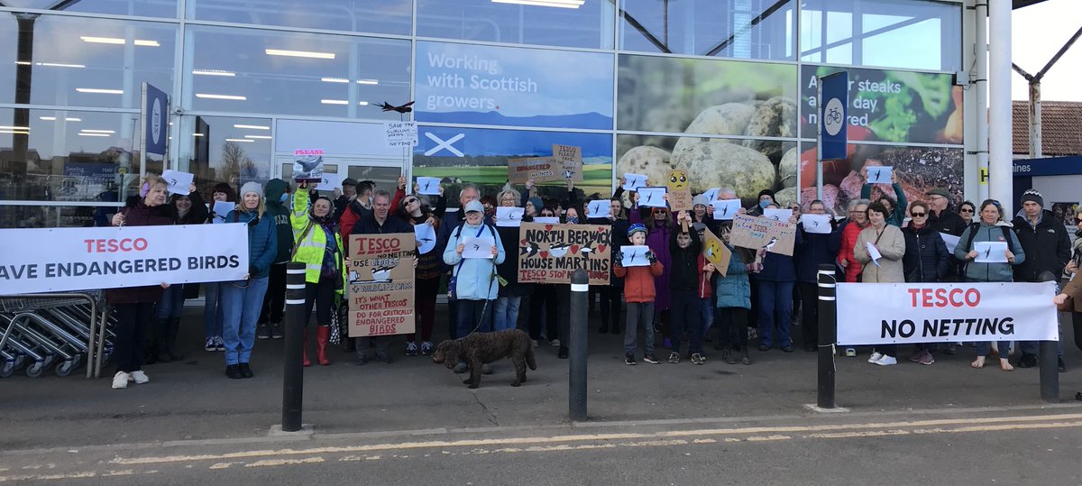 ajptri's tweet photo. Great support for protest against @tesco today in #northberwick  @tesconews @Tony_McElroy #lothianloop  Facebook page now at https://t.co/iazrtR9kE4 https://t.co/vjhzeHDyuG