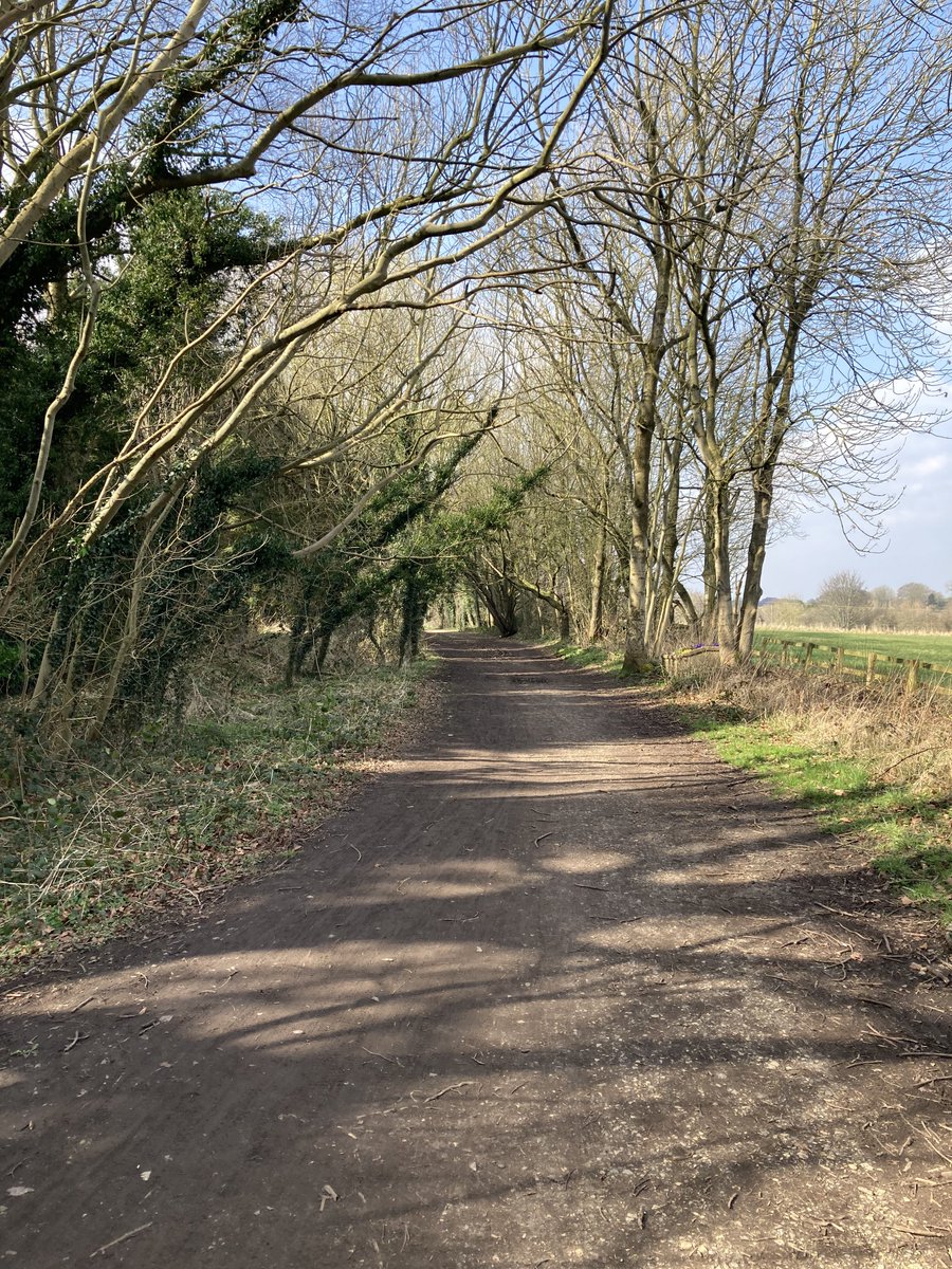 John_Salt's tweet image. Smashing sunny day for a 10mls walk between the villages. #Spofforth #Sicklinghall #Stockeld #KrikDeighton #Wetherby