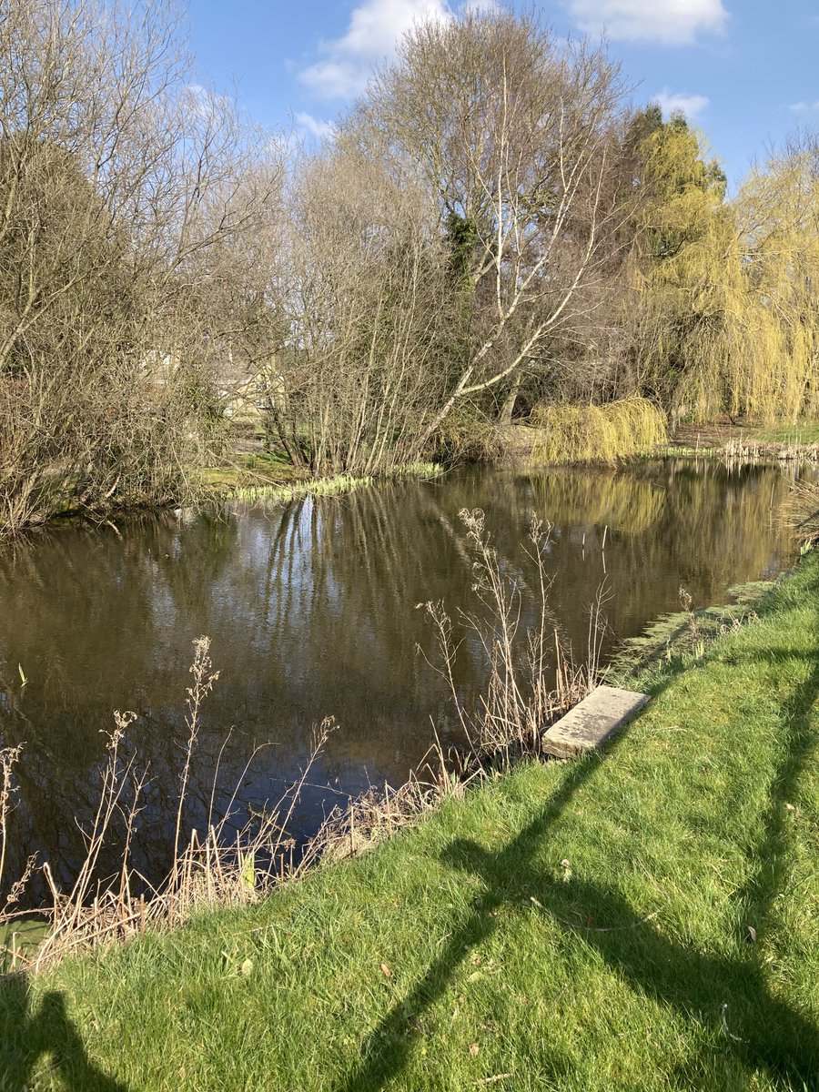 John_Salt's tweet image. Smashing sunny day for a 10mls walk between the villages. #Spofforth #Sicklinghall #Stockeld #KrikDeighton #Wetherby