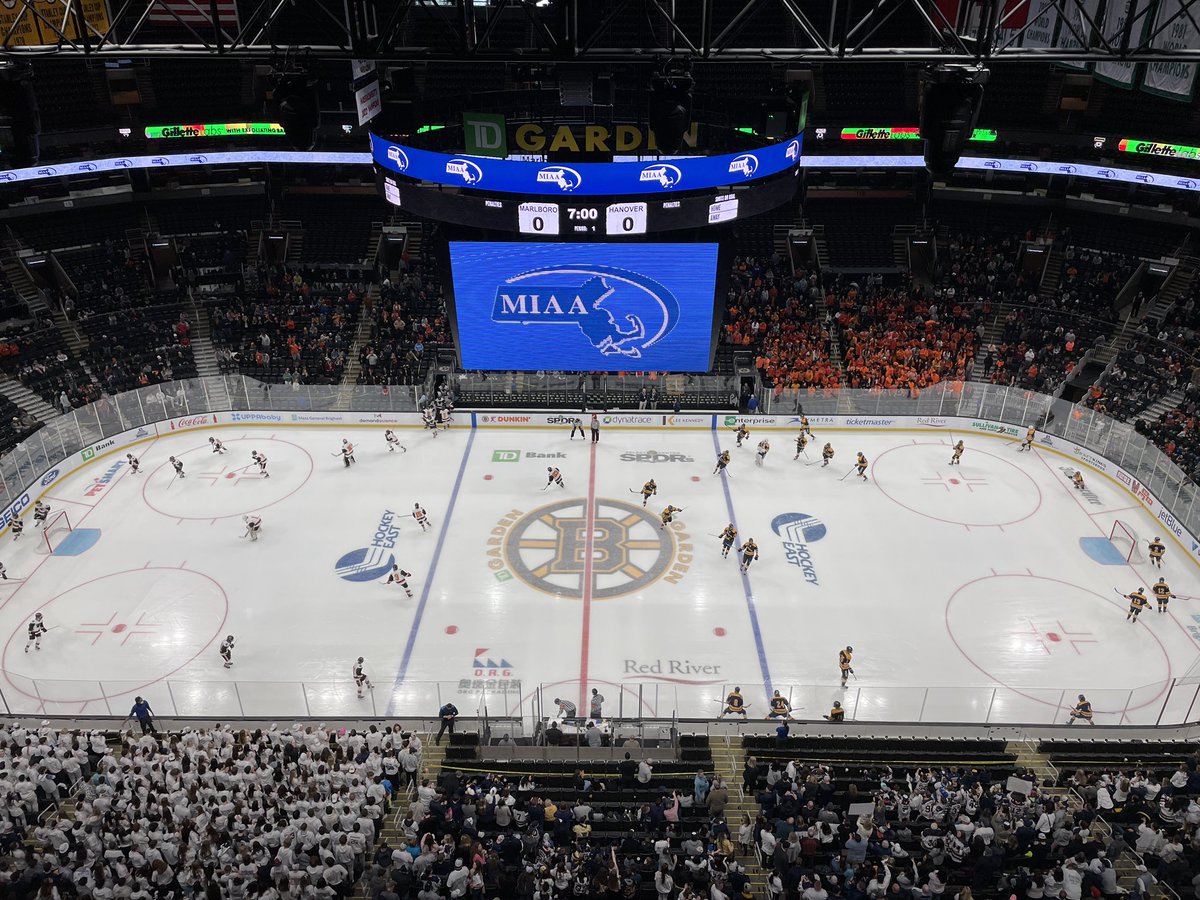 Brandon Hall tweet media