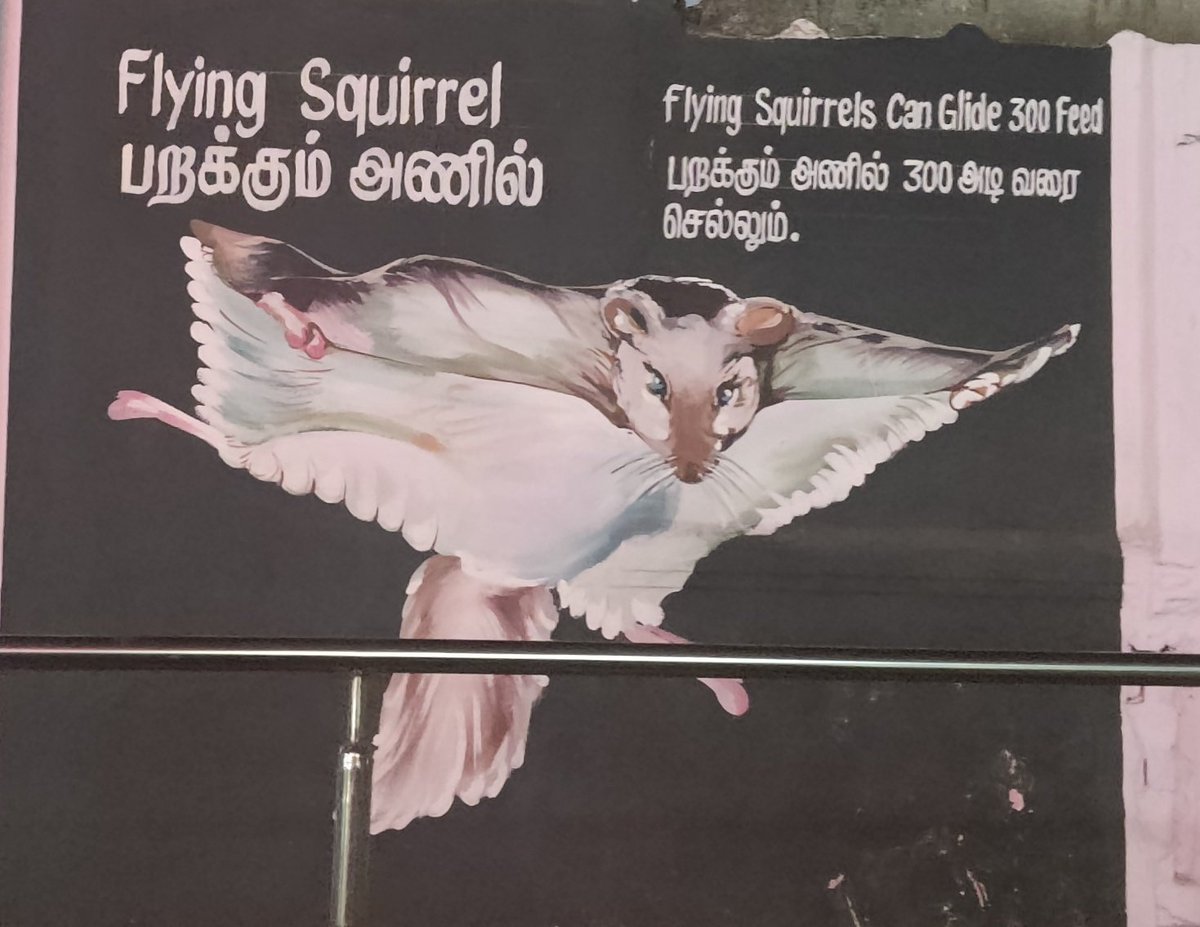 Relackssss's tweet image. Me on April 14th 🐿️