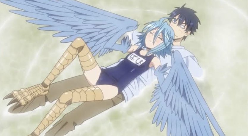 Папи monster musume. Гарем ламий аниме. Папи monster musume. Жизнь с девушкой монстром 3 девушка птица. Monster musume центория 18.