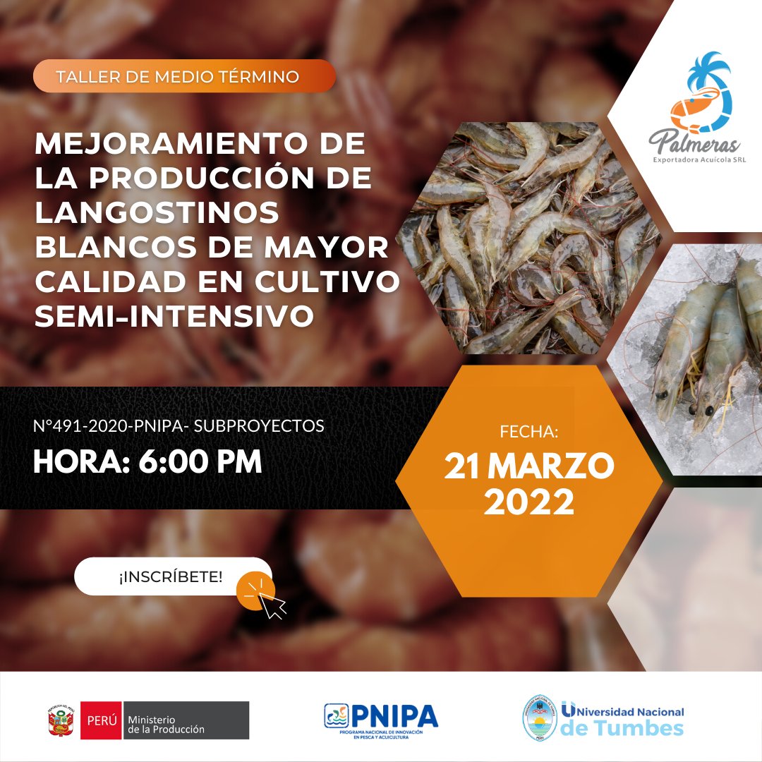 Se realiza el lunes 21 de marzo a las 6:00 p.m.(Hora Perú 🇵🇪), tendrá como principal expositor a la empresa Exportadora Acuícola Palmeras S.R.L.

📌Regístrate: bit.ly/3ua7mF4
🔗Link del zoom para que puedas unirte ese día: upch.zoom.us/j/98499449555 
¡Te esperamos 🙌🏻!