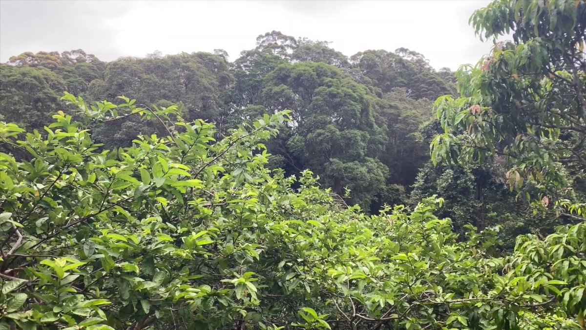 Moumin Lovable (@lovablemoumin) on Twitter photo 