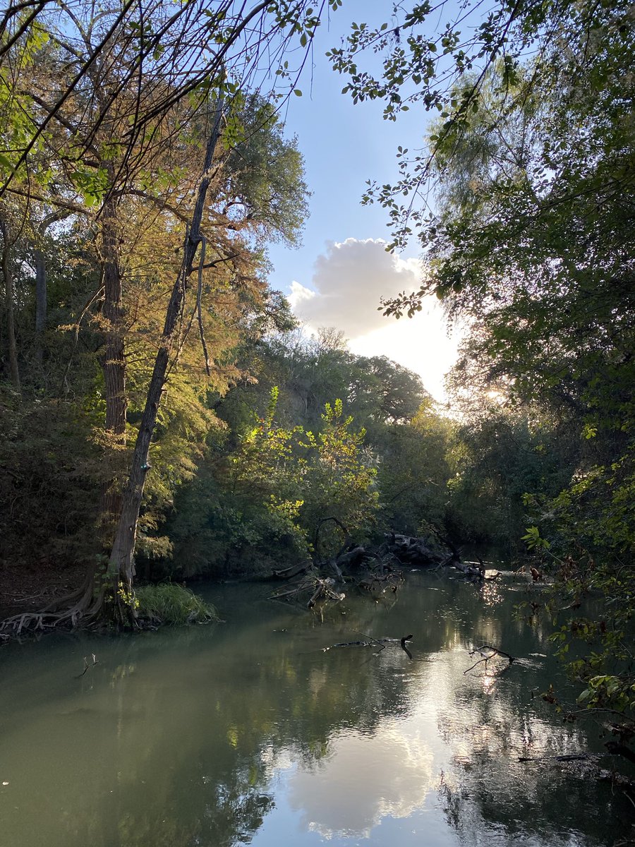 Ron_Nirenberg's tweet photo. Spring Equinox is here, folks! Get out and smell the native Texas flowers at one of our beautiful parks. 🌱
 
📍 Medina River Natural Area
🔎 Find a park or trail near you: https://t.co/CkKsRxl4Jo https://t.co/2b4QbMgeqF