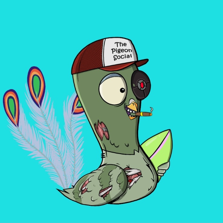 Irishmikeys's tweet photo. Let's Go Flock! Tag your Friends and join us @ThePigeonSocial 

@themonsterguild @3hippies @BennyFrankNFT @SafeMoneyNFT @MalaquiasSoraia https://t.co/DZyohZVxcq