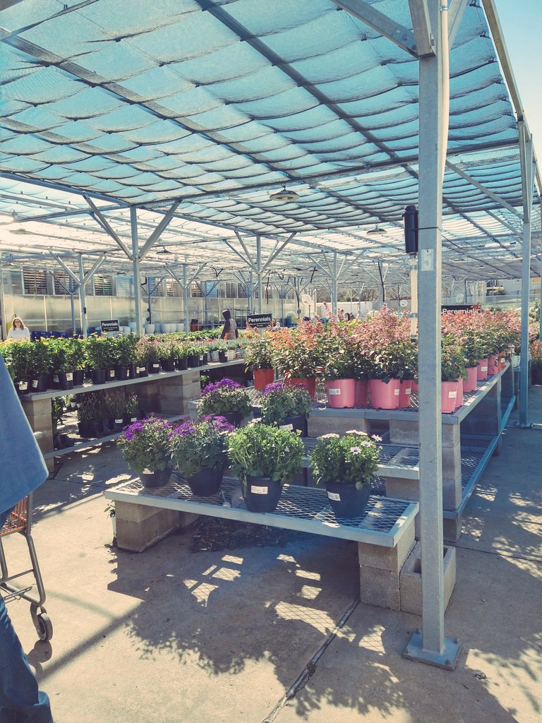 It's a beautiful day at 6804 Skillman store #Homedepotskillman #Outsidegaraden #D28